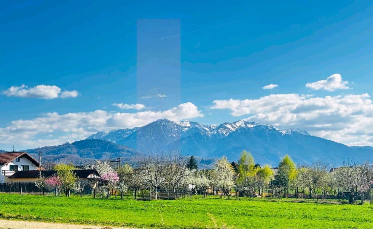 Das Home Risnov Bagian luar foto