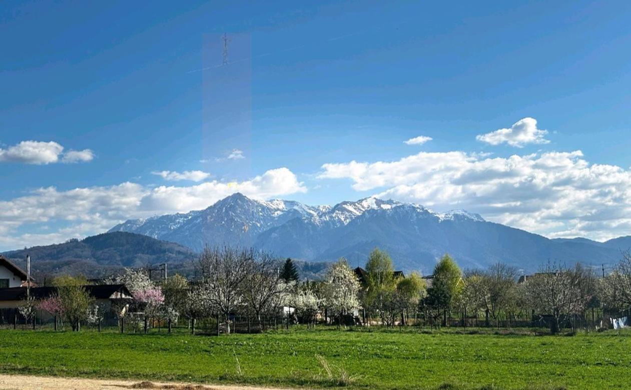Das Home Risnov Bagian luar foto